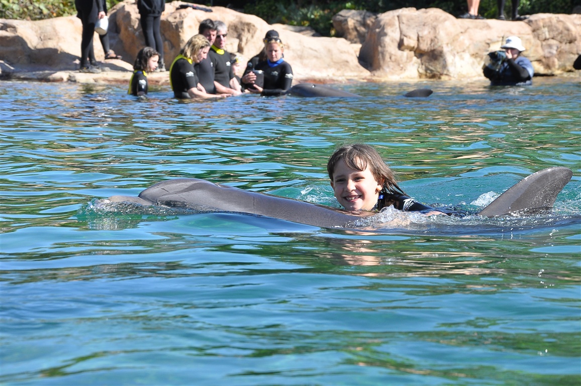 Nadando com o golfinho