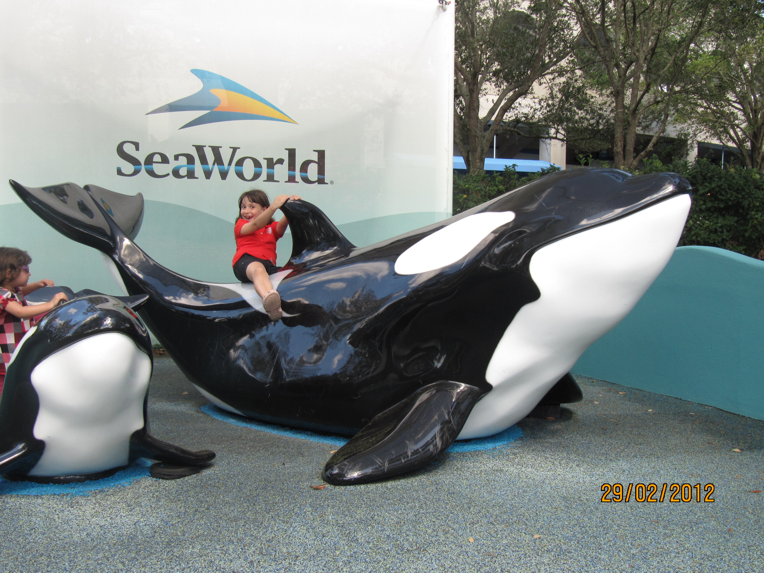 Surfando na baleia Shamu do Sea World