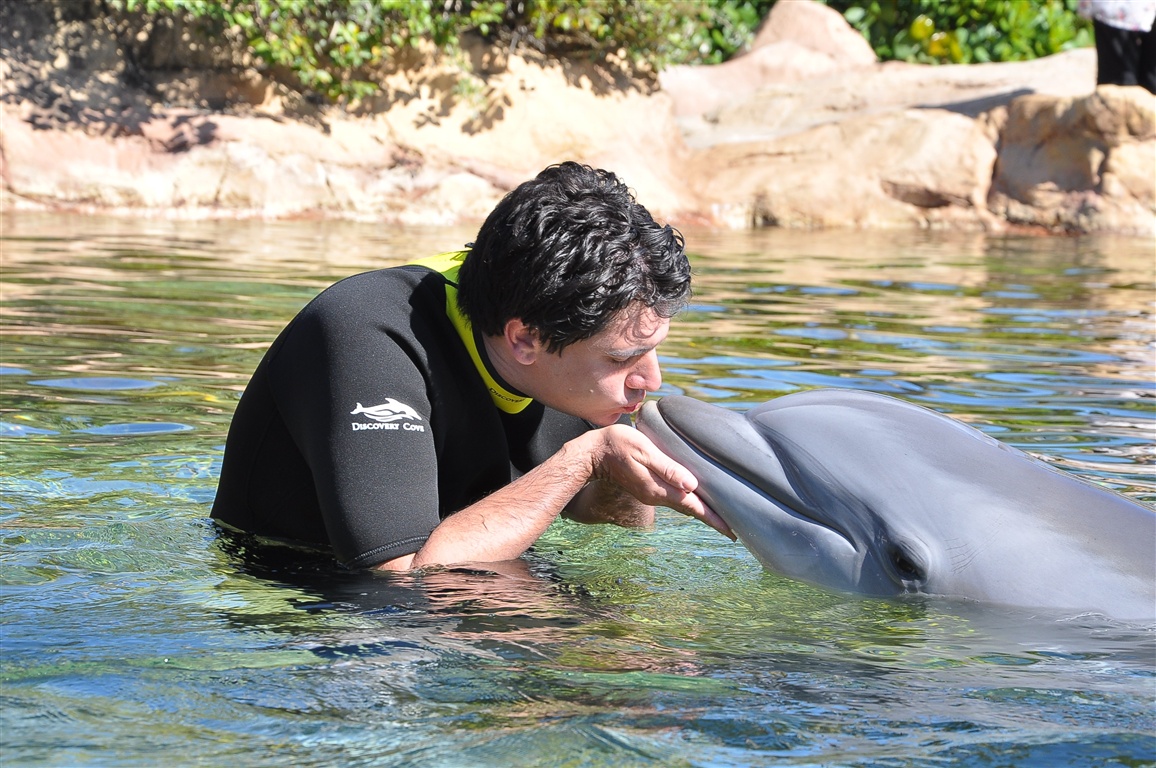 Beijando o golfinho