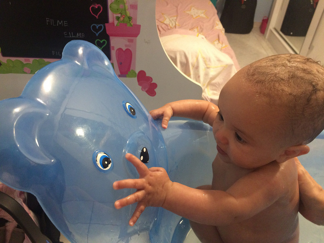 Pri com Dono Urso